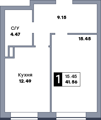 1 комнатная квартира, №456