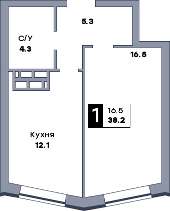1 комнатная квартира, №305