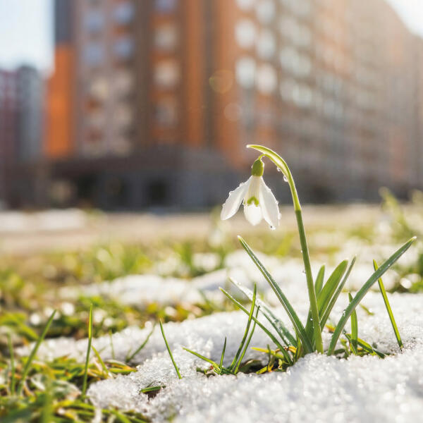 Продолжается действие спецпредложения «Весна в «Заречье»